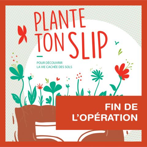 FIN DE L'OPÉRATION PLANTE TON SLIP